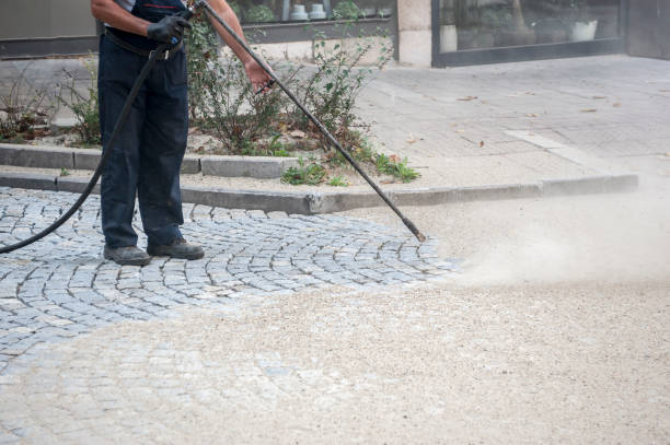 Best Pre-Holiday Cleaning  in Caway, AR